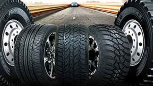 新聞動(dòng)態(tài)